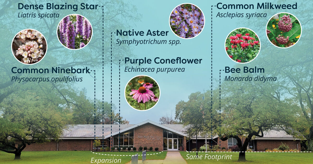 Pollinator Garden To Be Installed at Bertram Woods Branch this spring