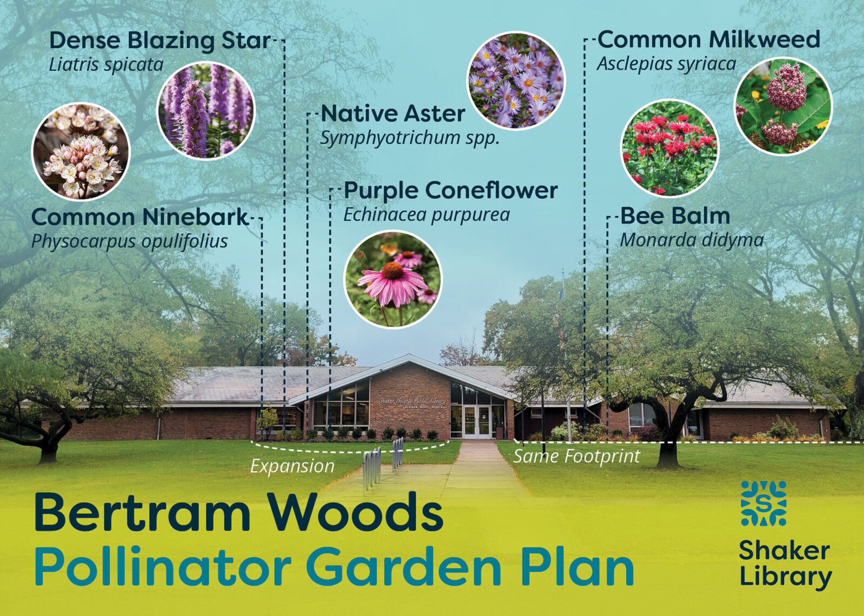 Bertramwoodspollinatorgardenplan 5x7v.2